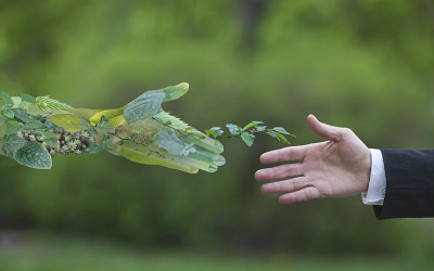 Gestão Ambiental – Semana do Meio Ambiente