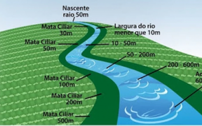 A importância da preservação das matas ciliares para a qualidade da água