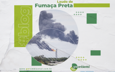 Laudo de Fumaça Preta – Escala Ringelmann