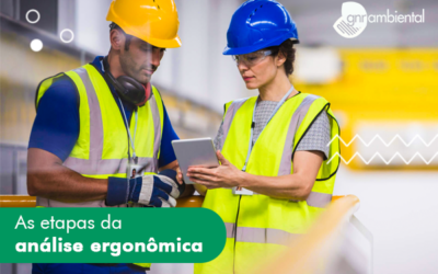 As Etapas da Análise Ergonômica