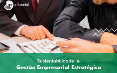 Por que você precisa de sustentabilidade na sua estratégia de negócios?